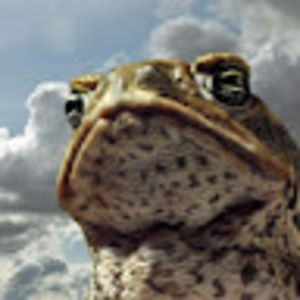 Meet your Posher, Dee